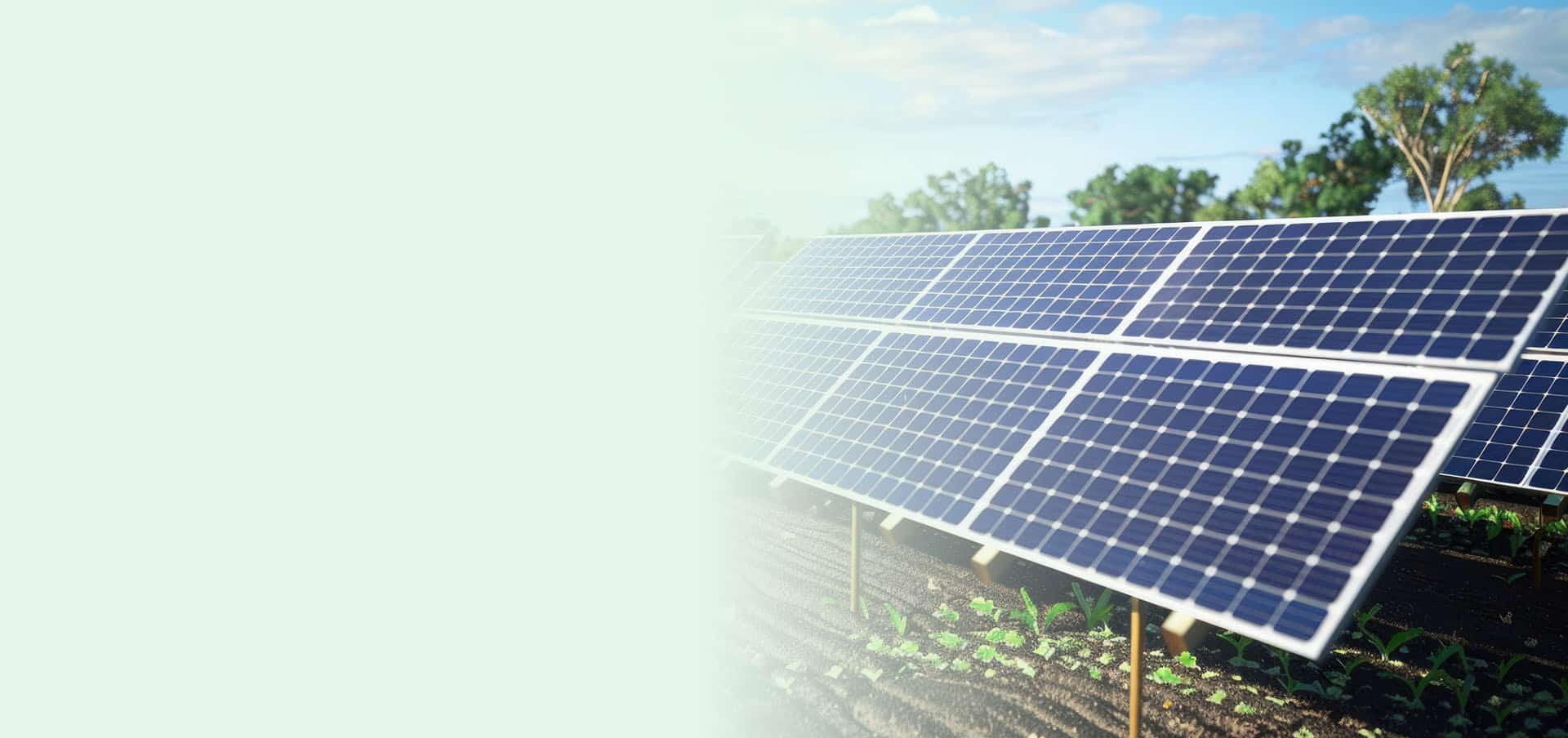 Ground-Mounted Solar Panels